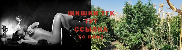 бошки Ладушкин
