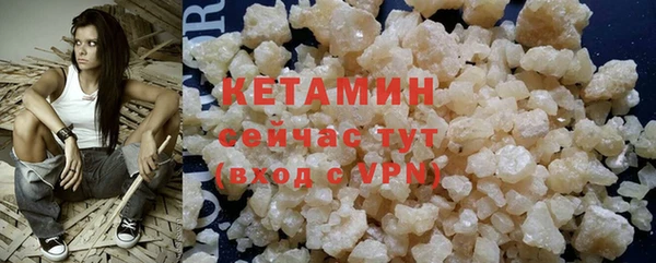 индика Почеп