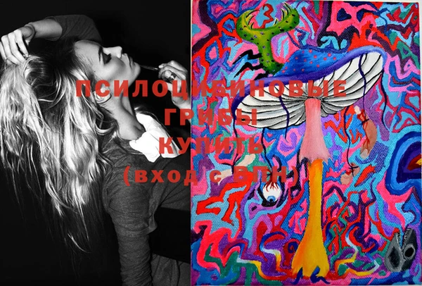 бошки Ладушкин