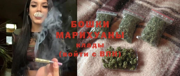 бошки Ладушкин